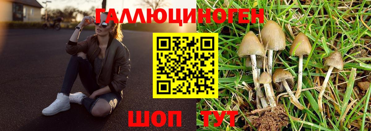 Псилоцибиновые грибы Cubensis  Вход с VPN  Нефтекумск 
